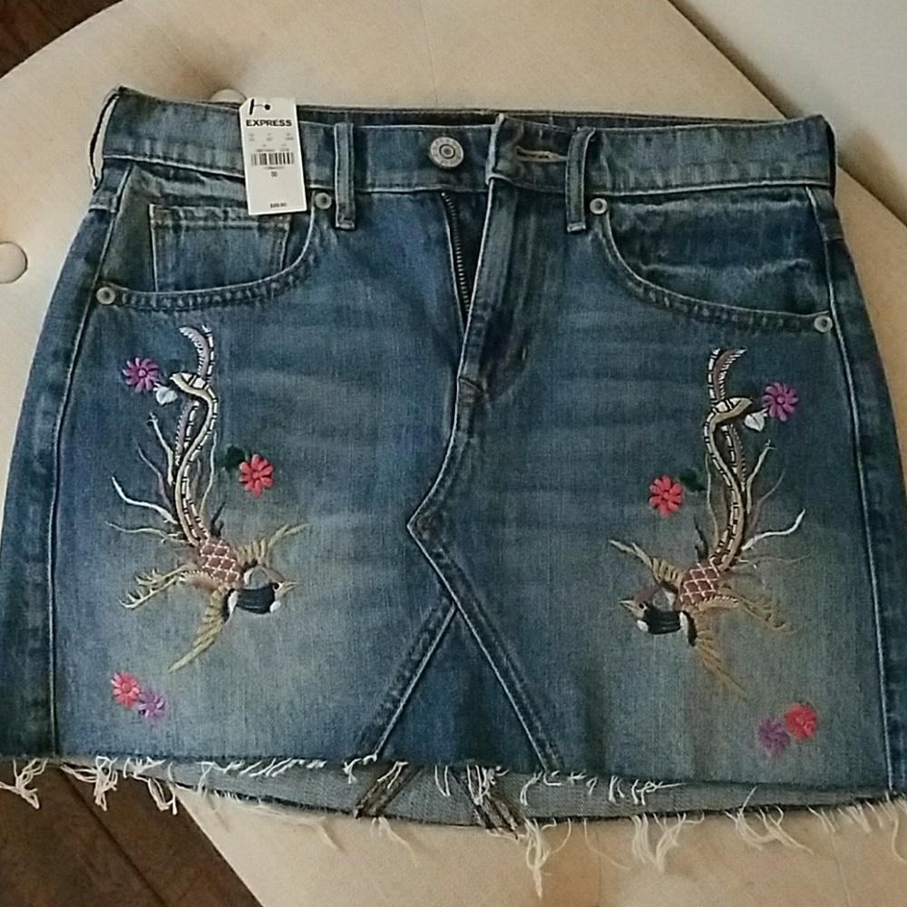Express Embroidered Denim Skirt